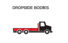 Dropsise bodies