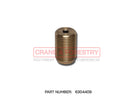 The HMF Extension Boom Side Guide - 6304409 is a cylindrical, metallic threaded plug with a central hole for alignment, shown on a white background. "PART NUMBER: 6304409" appears below. The image watermark reads: CRANES FORESTRY.