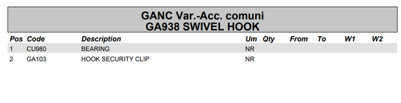 Fassi Hook Safety Clip/Latch - GA103