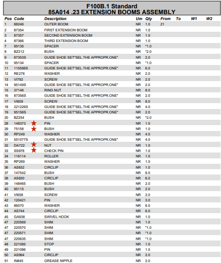 Fassi Safety Check Pin - SS978