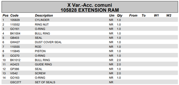 Fassi Extension Cylinder Seal Kit - GSC277