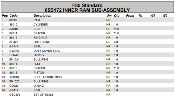 Fassi Main Boom Cylinder Seal Kit - GSC295