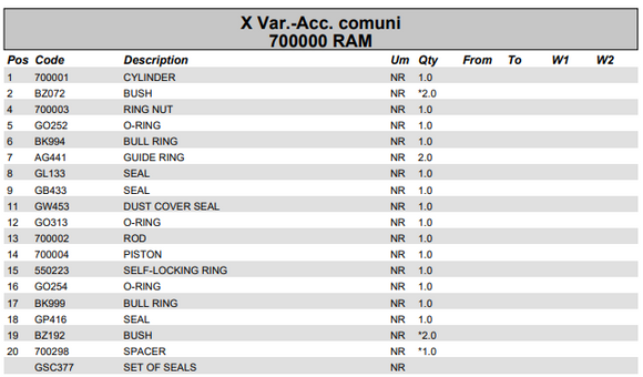 Fassi Main Boom Cylinder Seal Kit - GSC377