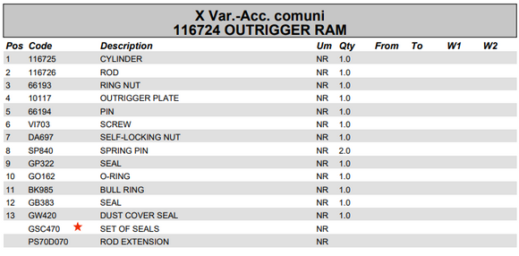 Fassi Outrigger Leg Cylinder Seal Kit - GSC470