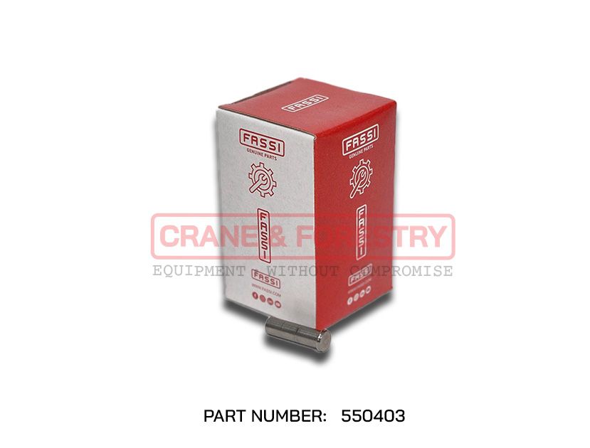Fassi Pin - 550403 | Crane and Forestry